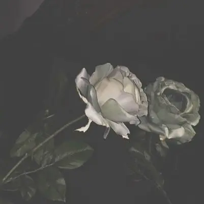 0606.hae의 이동혁