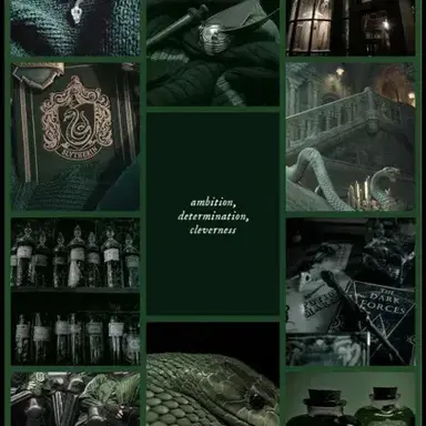 Profile image of Tom