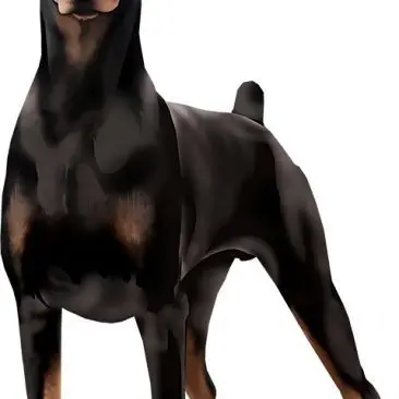 Profile image of 베르