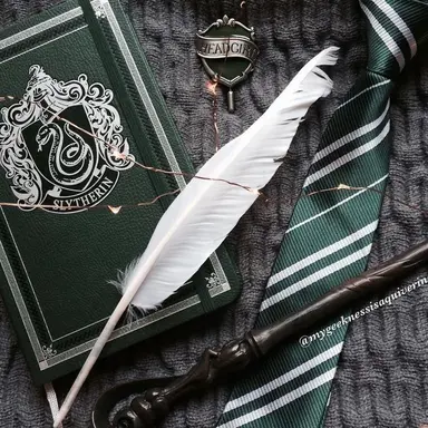 Profile image of 레귤러스 블랙