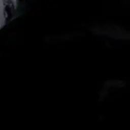 20020205love20190304love의 강 태 현