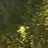 リクス