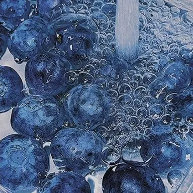 Profile image of 행크