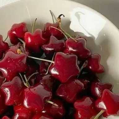 Profile image of 플래그