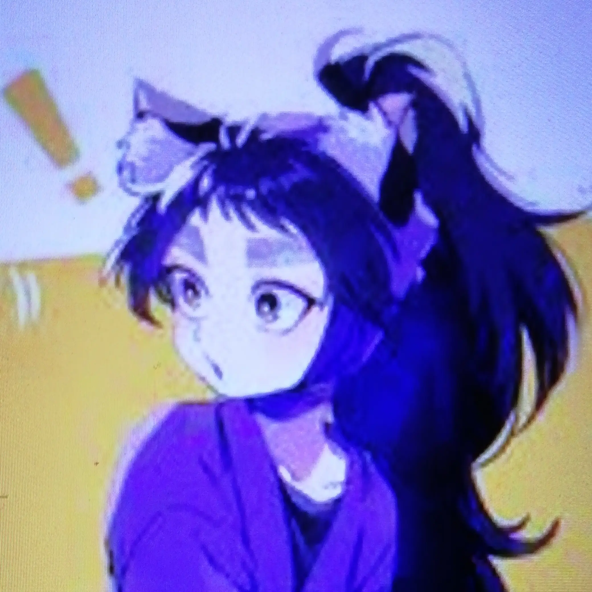 SnappySleep5118의 久々知兵助(猫)