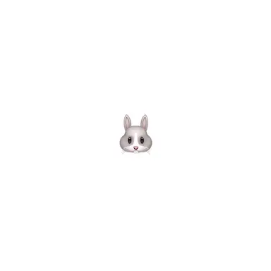 Profile image of せいと