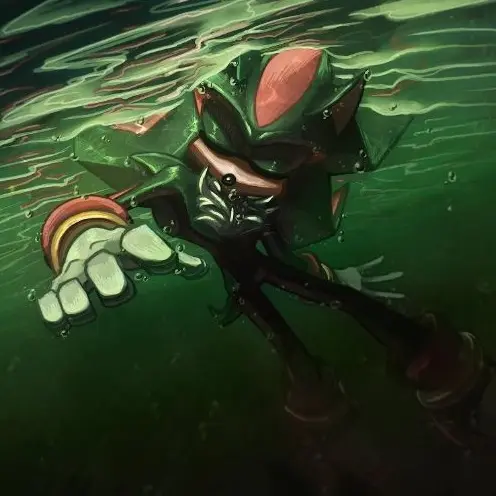 SONADOW_의 Drove off the road into the water