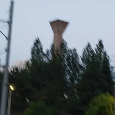 Profile image of 강철