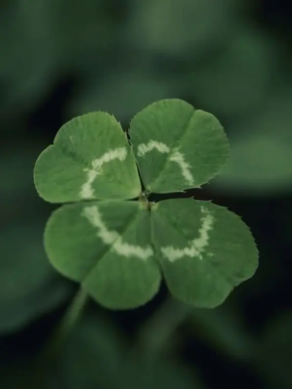 meu_o0의 ずっと愛してる