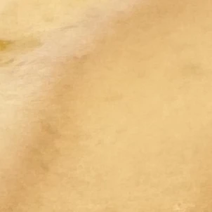 김가온