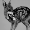 Profile image of 마일로