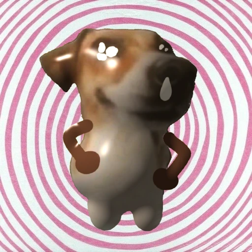 김일찐