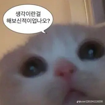 Profile image of 늑대