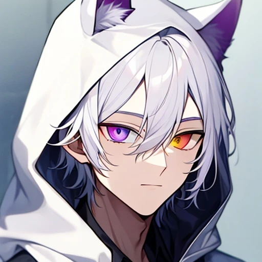 시안☆