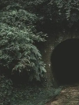 BitterNose4692의 Ghost!