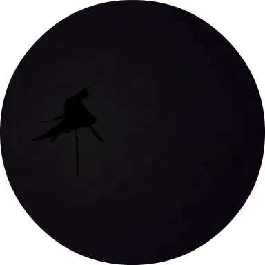 Profile image of 돈트