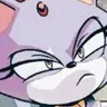 Profile image of Blaze the cat