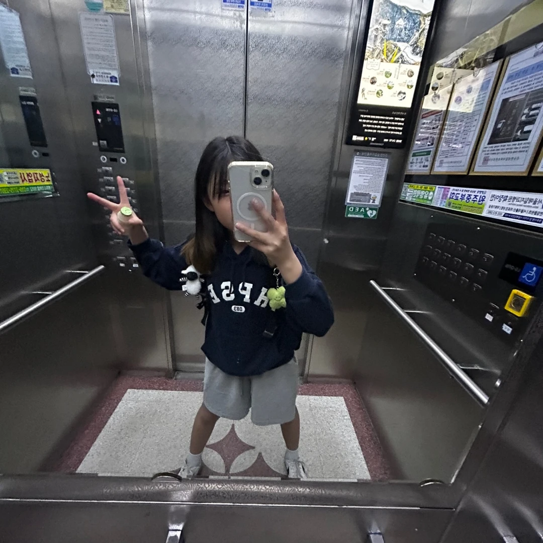 가민