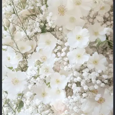 Profile image of 마노