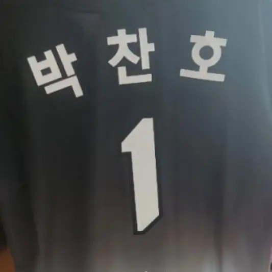 BruteBin9635의 박찬호
