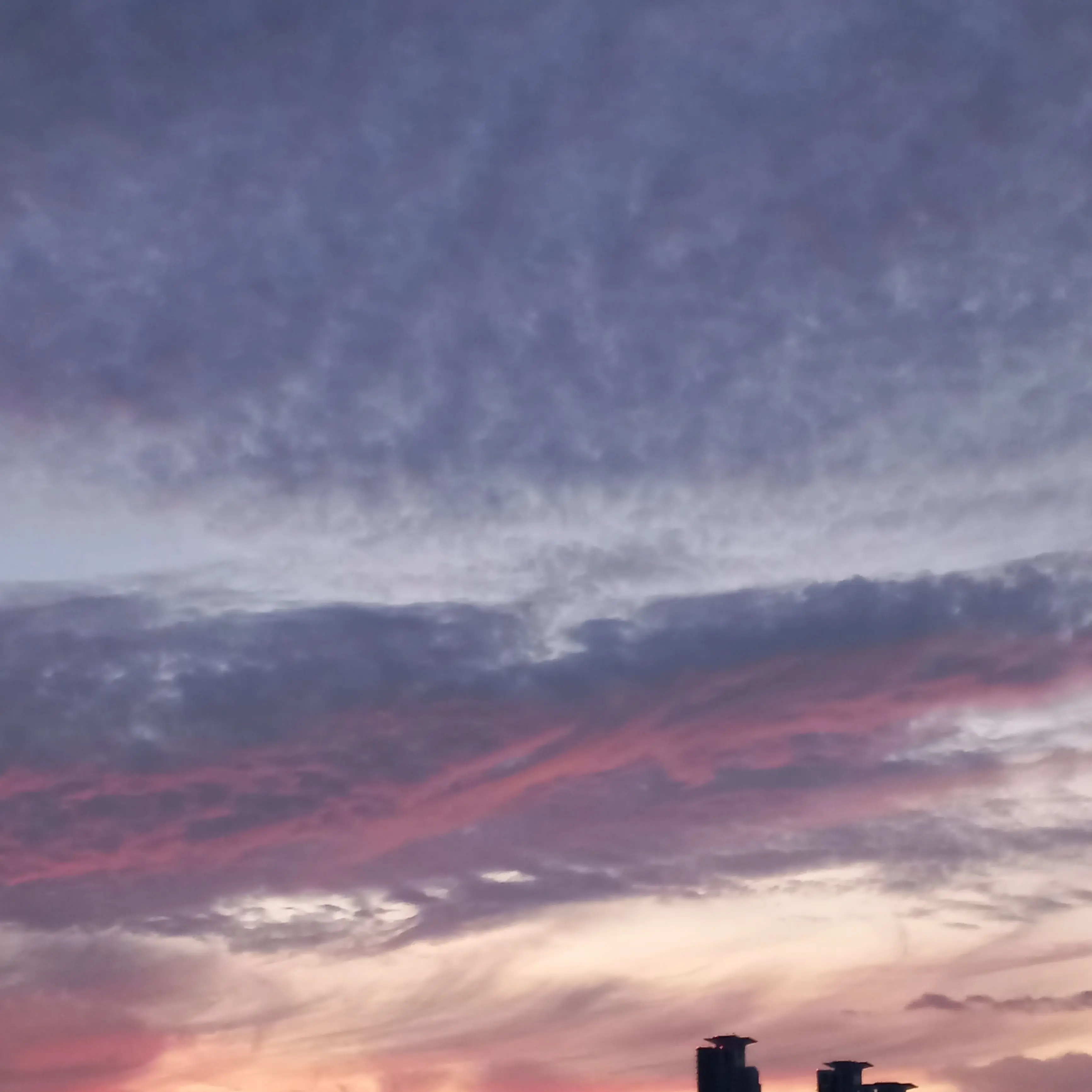 ClearSoap9927의 수호신이 없으면 차별받는 세상