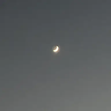 Profile image of 真夜