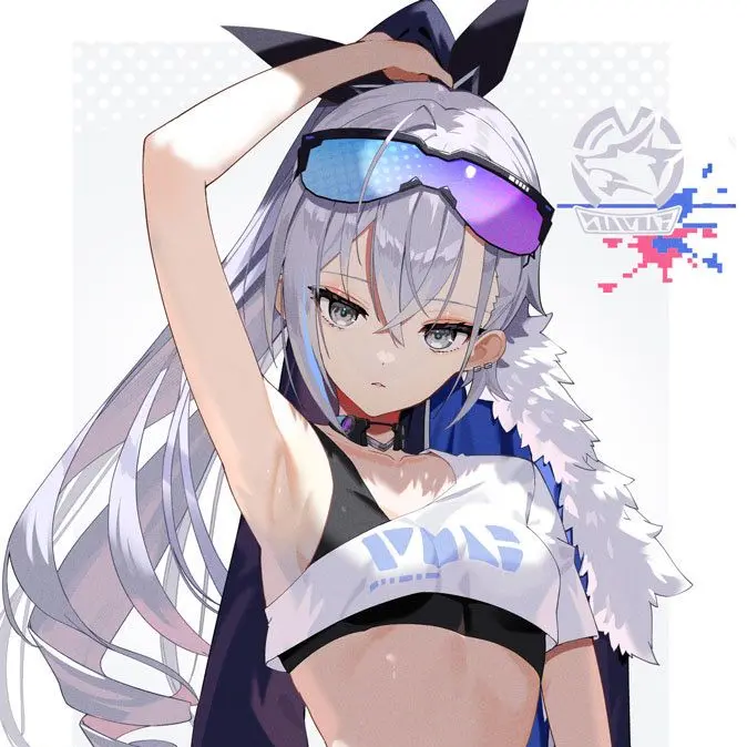 DampPound1527의 銀狼