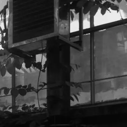 NO3._aaaaaa의 검은 온실