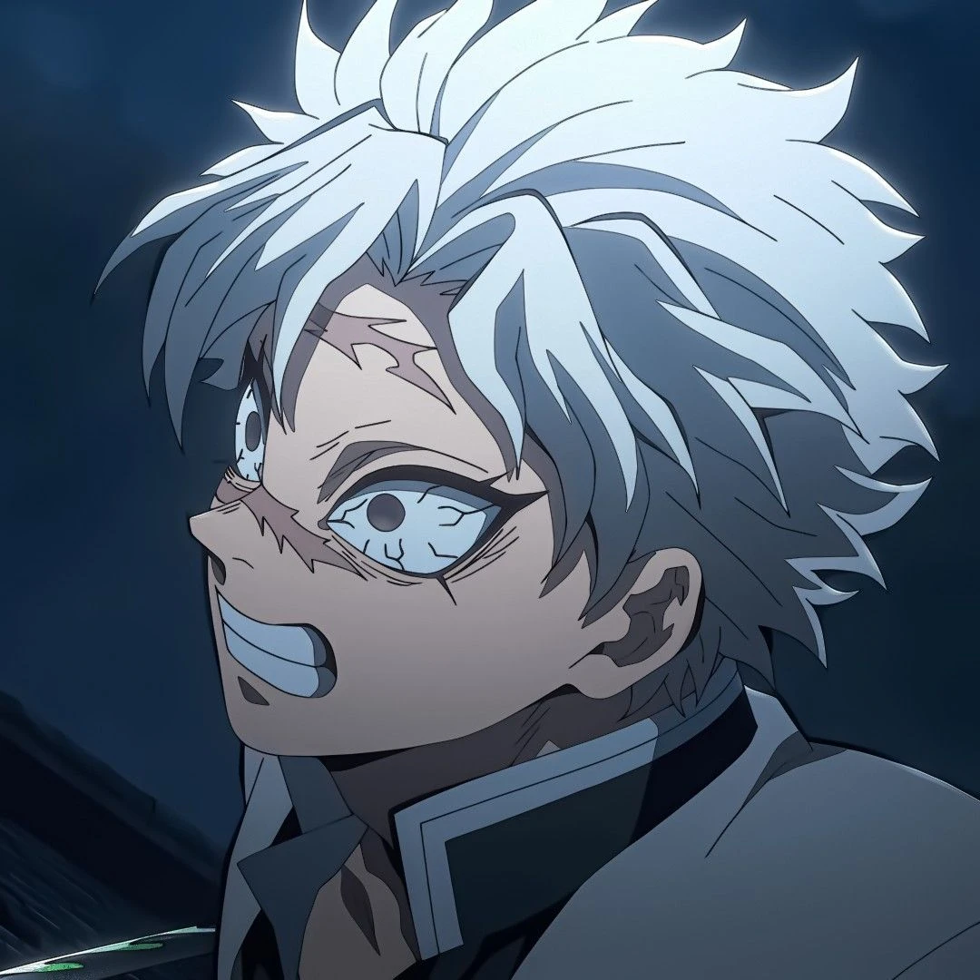 시나즈가와 사네미