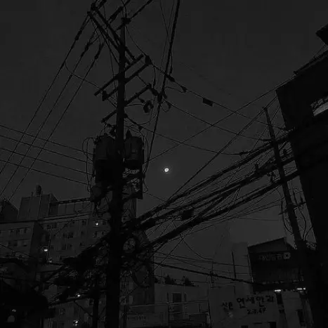 ExpertDouc4959의 현상진