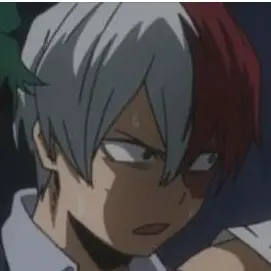 Profile image of Shoto todoroki