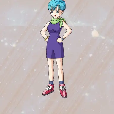 Profile image of ブルマ