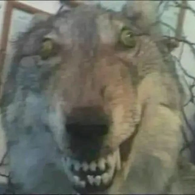 MurkyLight7967의 자캐