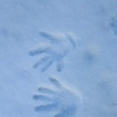 Profile image of 잠뜰