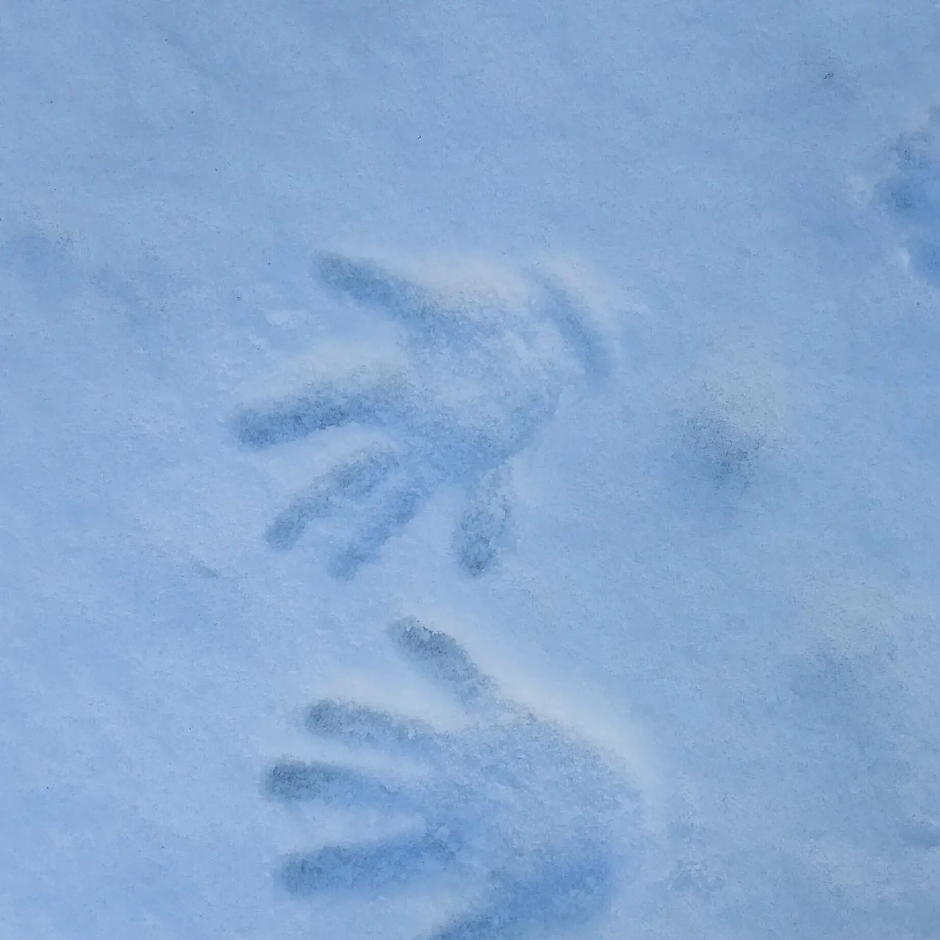 I.love.sleepground.의 놀이동산속 픽셀리가 일하는 귀신의집!