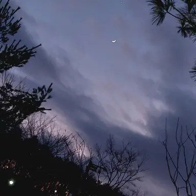 Profile image of 수현