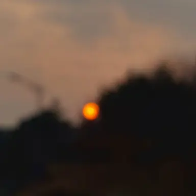 Profile image of 덕개