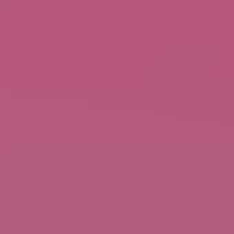 Profile image of アメリカ