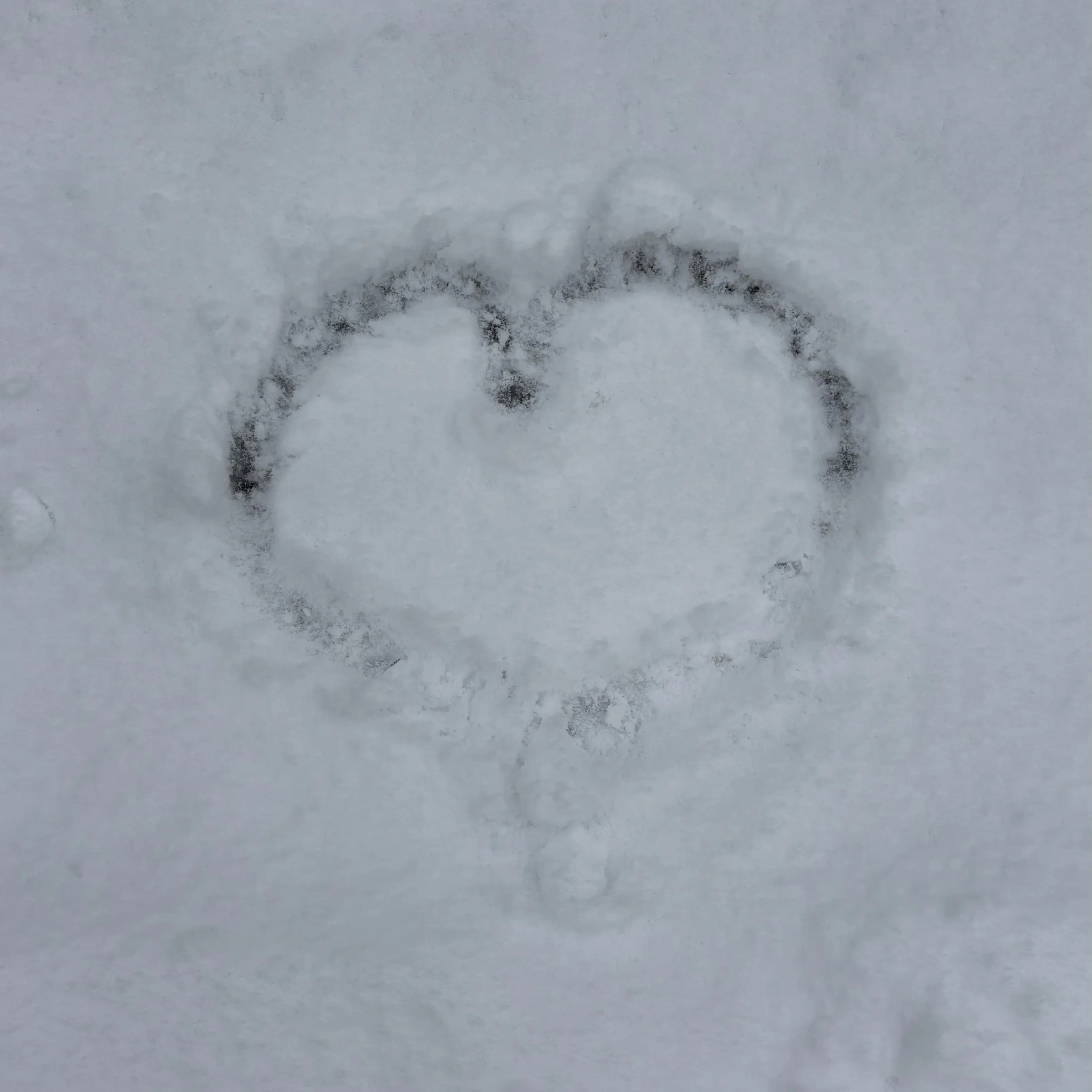 AfraidWasp8959의 だいすきー