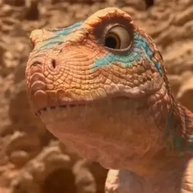 Profile image of 파랑이