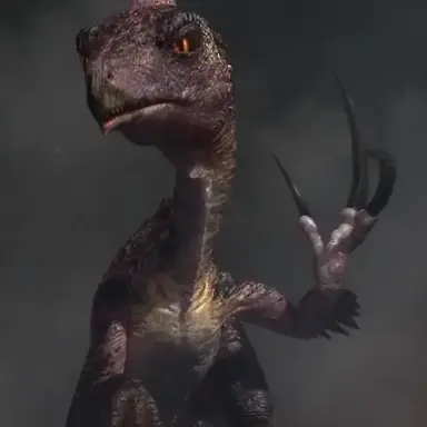 Profile image of 발톱