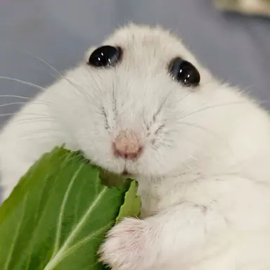 Profile image of 유니
