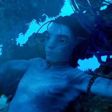 Profile image of 로아크