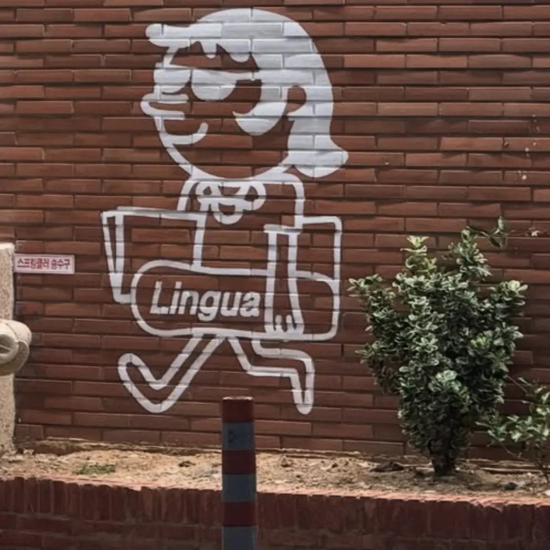 MartyrMoon7005의 새끼고양인 당신을 입양하는 오비스트들