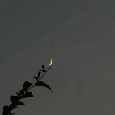 Profile image of 시미베
