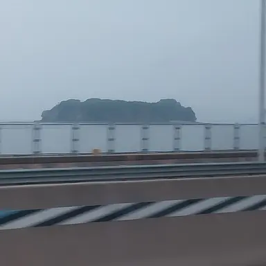 Profile image of 손상춘