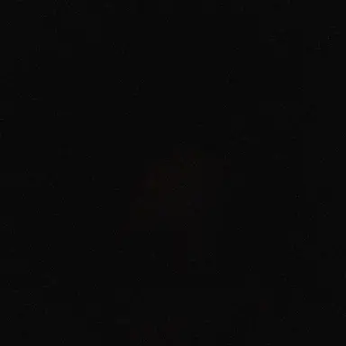 Profile image of Solenne