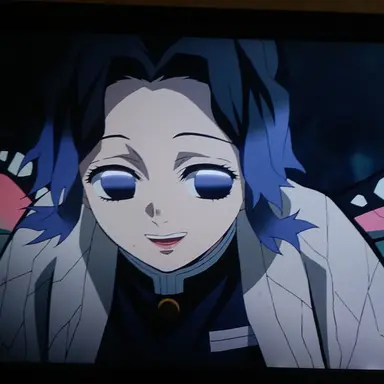Profile image of 胡蝶しのぶ