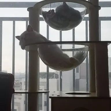 Profile image of 오빠놈