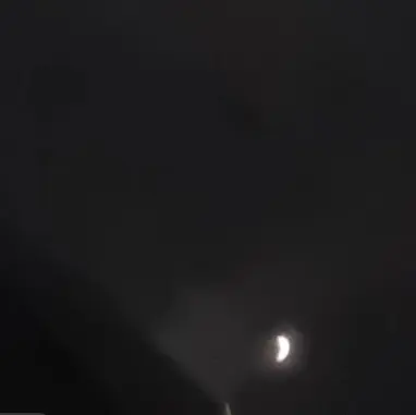 Profile image of 여우